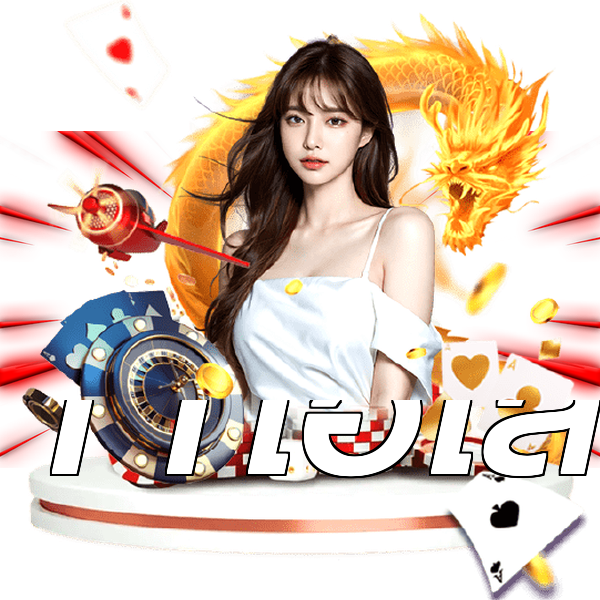 11ไฮโล
